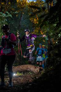 BIB: 
                            <button type="button" onclick="openModal(19231768)" class="btn btn-primary btn-sm float-right btn-popup" data-toggle="modal" data-target=".modal-high-quality">
                        <i class="fas fa-shopping-cart"></i> Add to Cart
                    </button>
                                            <button type="button" onclick="isThisMe(19231768, true)" class="btn btn-success btn-sm float-right btn-popup btn-isme hidden" data-toggle="tooltip" data-placement="bottom" title="นี่คือรูปของคุณใช่ไหม คลิกที่นี่เพื่อเอาเข้าอัลบั้ม">
                        <i class="fas fa-plus"></i> Add to album
                    </button>
                    <button type="button" onclick="isThisMe(19231768, false)" class="btn btn-warning btn-sm float-right btn-popup btn-isnotme hidden">
                        <i class="fas fa-ban"></i> Remove from album
                    </button>